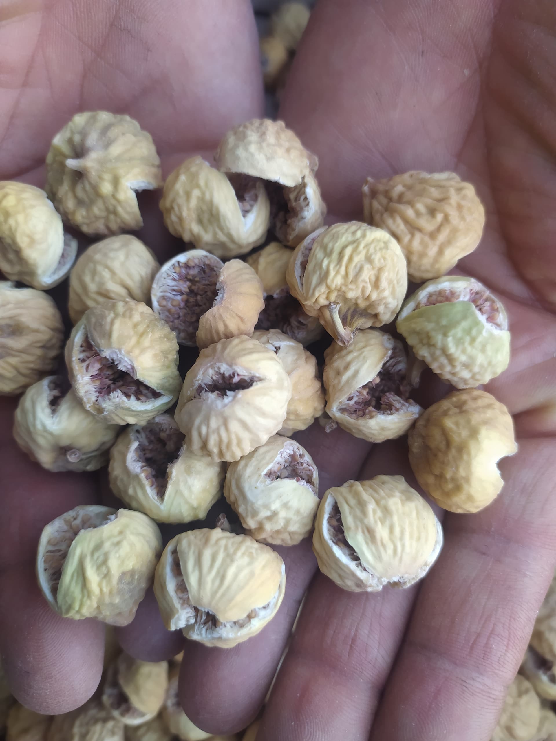 فروش به صرفه انجیر صدیک ریز مناسب برای آجیل
