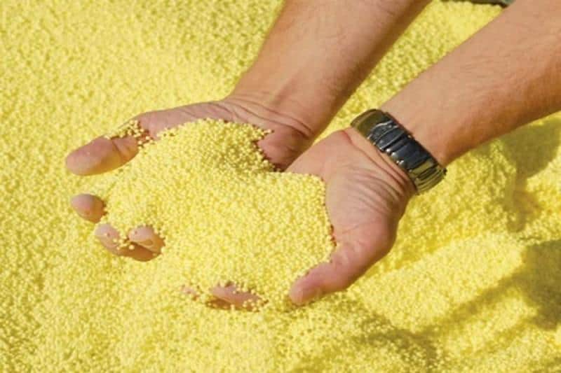 قیمت روز گوگرد قارچ‌ کش