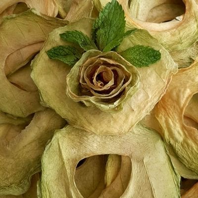 خرید و قیمت طالبی خشک شده مرغوب + فروش صادراتی