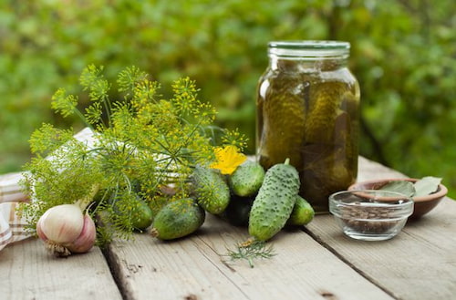 خرید و فروش خیارشور سرکه ای ترد با شرایط فوق العاده