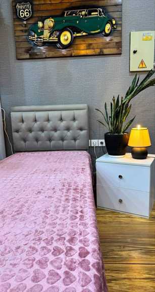 تصویر 3 از فروش آنلاین پتو مسافرتی دو نفره قلبی سنس + قیمت عمده