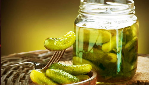 قیمت خرید خیارشور کامروز + فروش ویژه