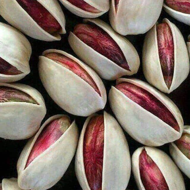 فروش پسته حاج اکبری + قیمت خرید به صرفه