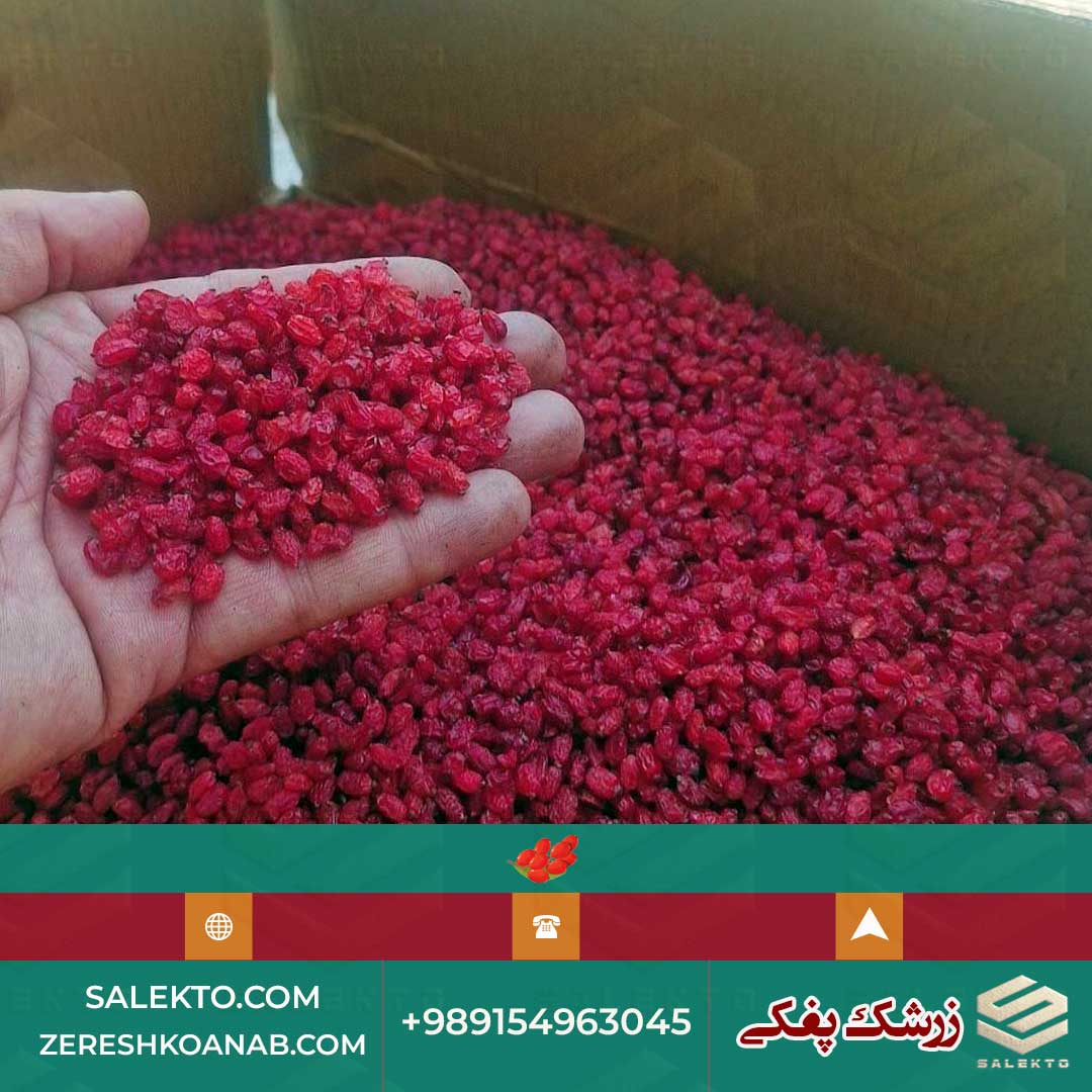 خرید زرشک پفکی ارگانیک با طعم دلپذیر و بسته ‌بندی لوکس صادراتی