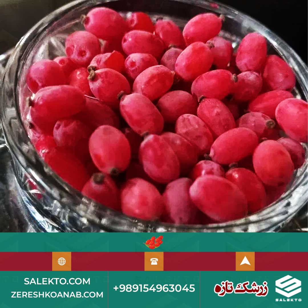 زرشک تازه دستچین با دانه ‌های درخشان و طعم ترش و شیرین