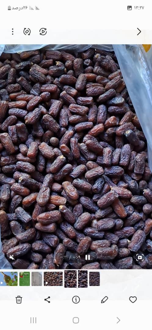 تصویر 1 از خرما پیارم ابدان خوزستان مخصوص صادرات