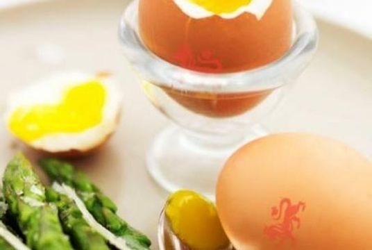 قیمت مایع زرده تخم مرغ تلاونگ