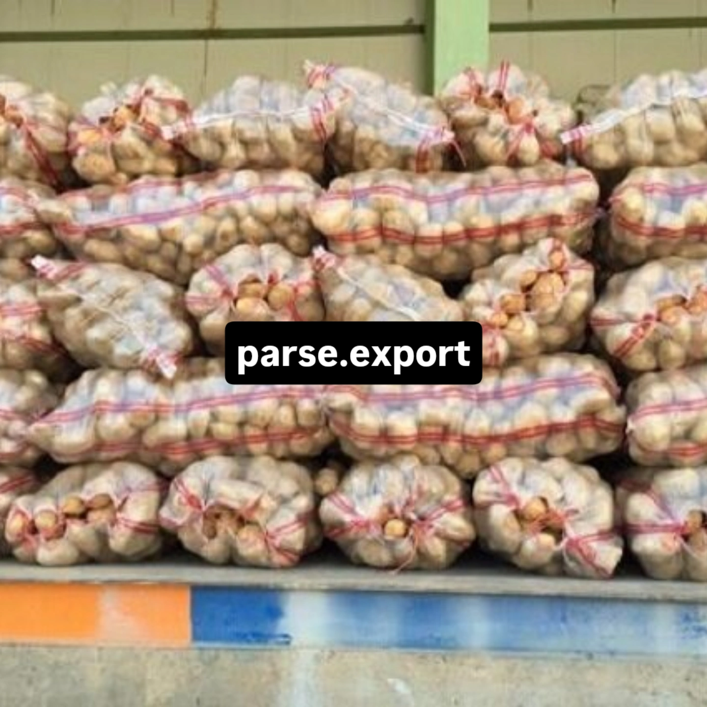 قیمت امروز سیب زمینی همدان + فروش عمده مستقیم از کشاورز