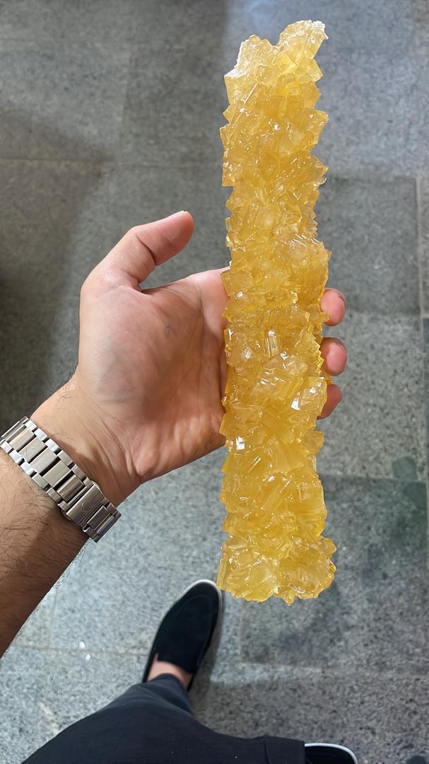 نبات شاخه‌ ای صادراتی صفه + خرید