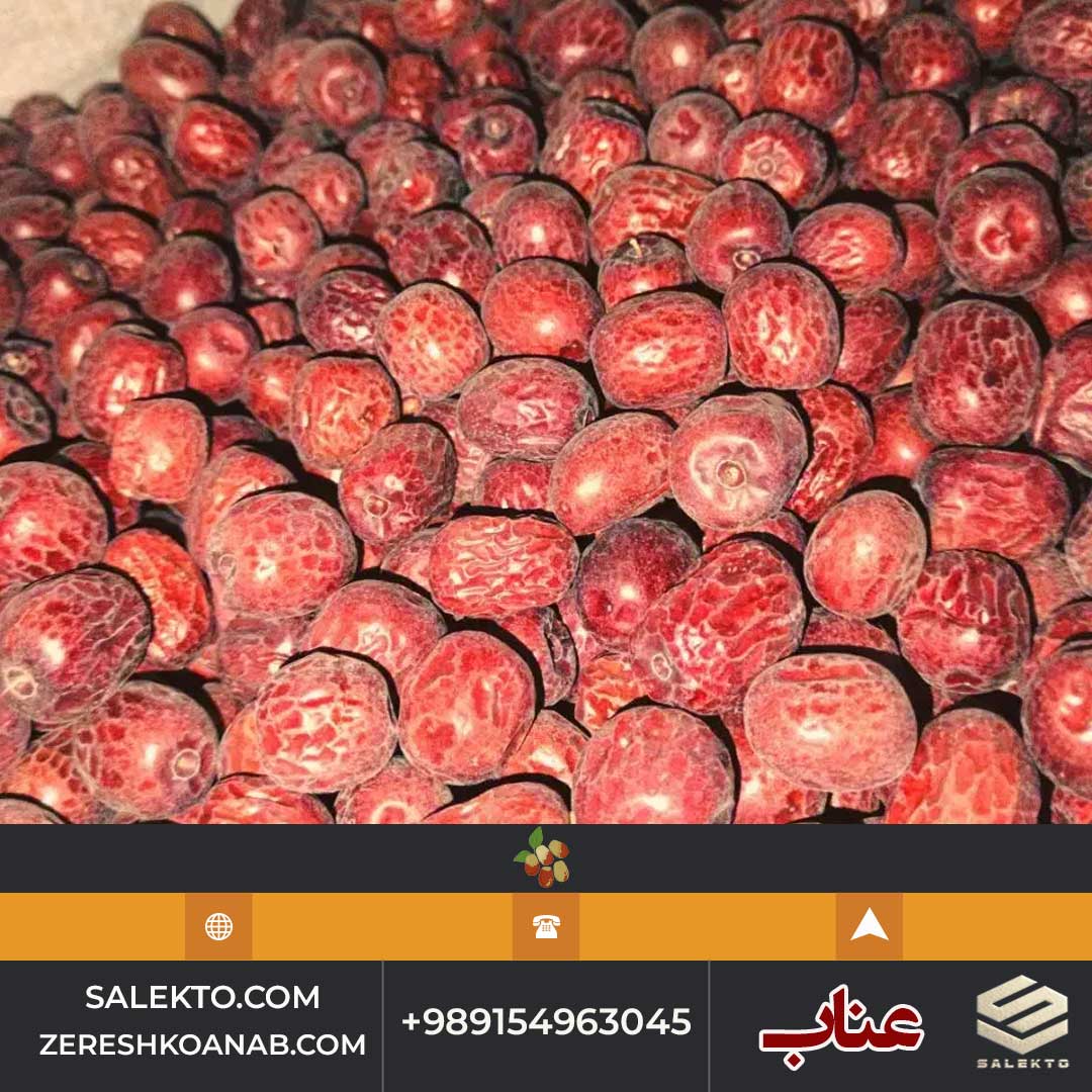 تصویر 4 از خرید عناب امسالی قائنات غنی از آنتی‌ اکسیدان و ویتامین C