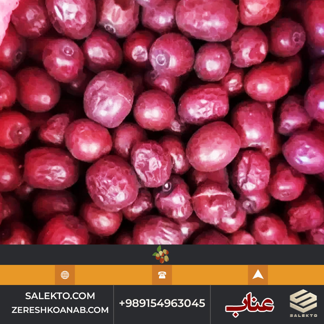 تصویر 5 از خرید عناب امسالی قائنات غنی از آنتی‌ اکسیدان و ویتامین C