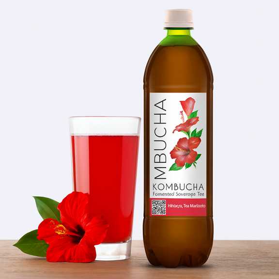 خرید و فروش عمده کامبوجا چای ترش طبیعی نوشیدنی تخمیری سلامت محور برای کافه ها و فروشگاه ها