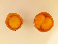 مایع تخم مرغ زرده قنادی تلاونگ + خرید