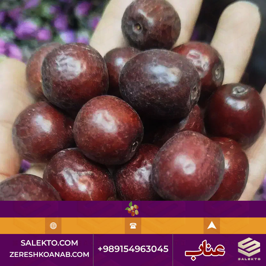 خرید عناب دانه‌ درشت با پوسته نازک و طعم شیرین از Salekto