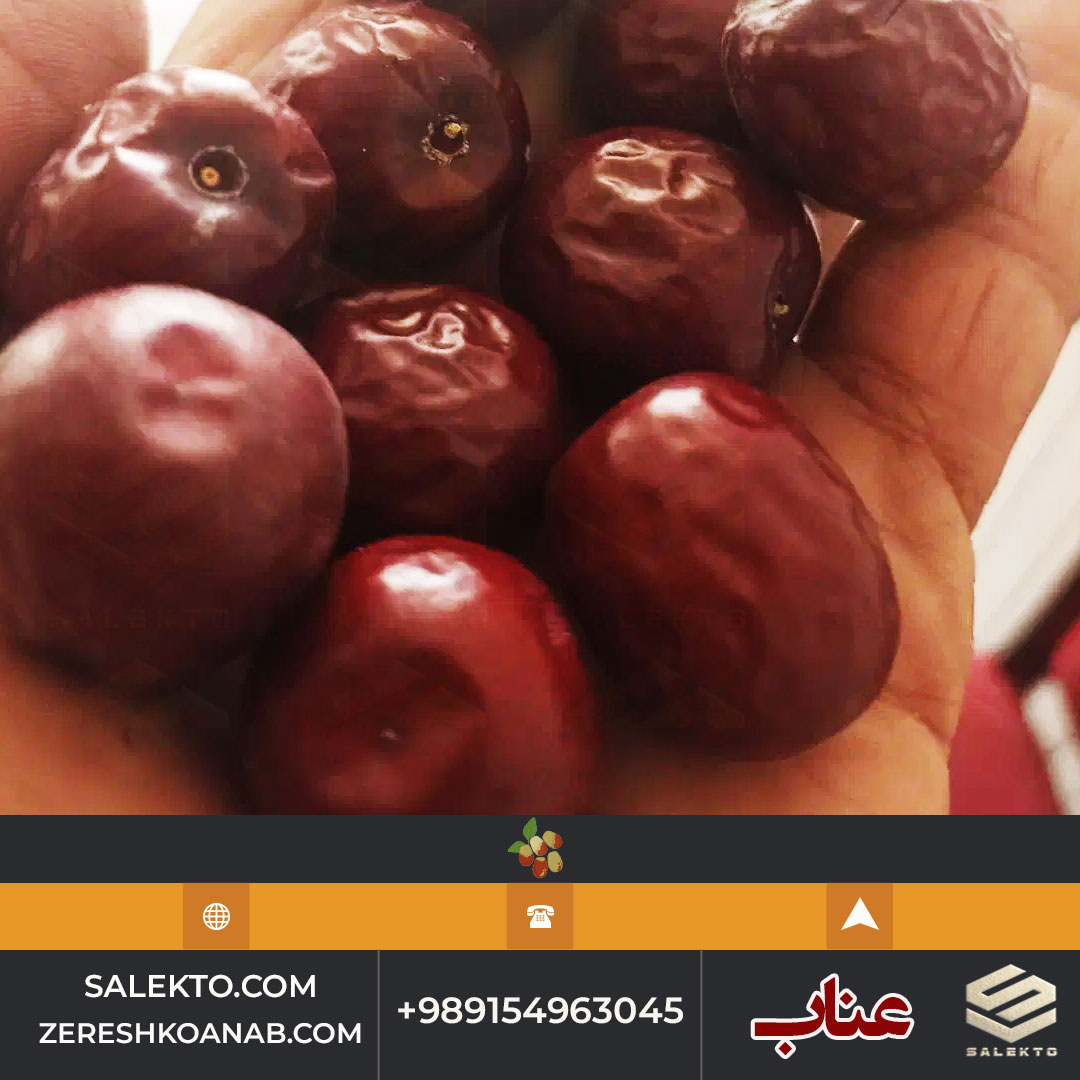 تصویر 1 از خرید عناب دانه‌ درشت با پوسته نازک و طعم شیرین از Salekto