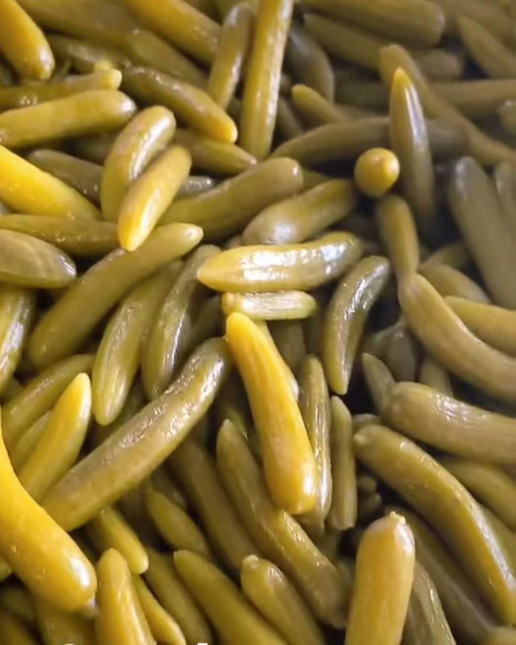 قیمت خرید روزانه خیارشور دبه ای اعلا