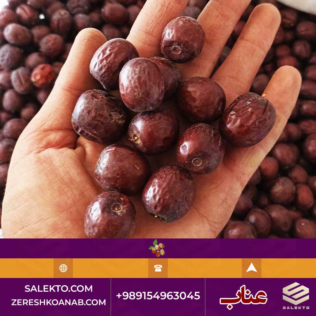 خرید عناب خشک شده گرید A صادراتی