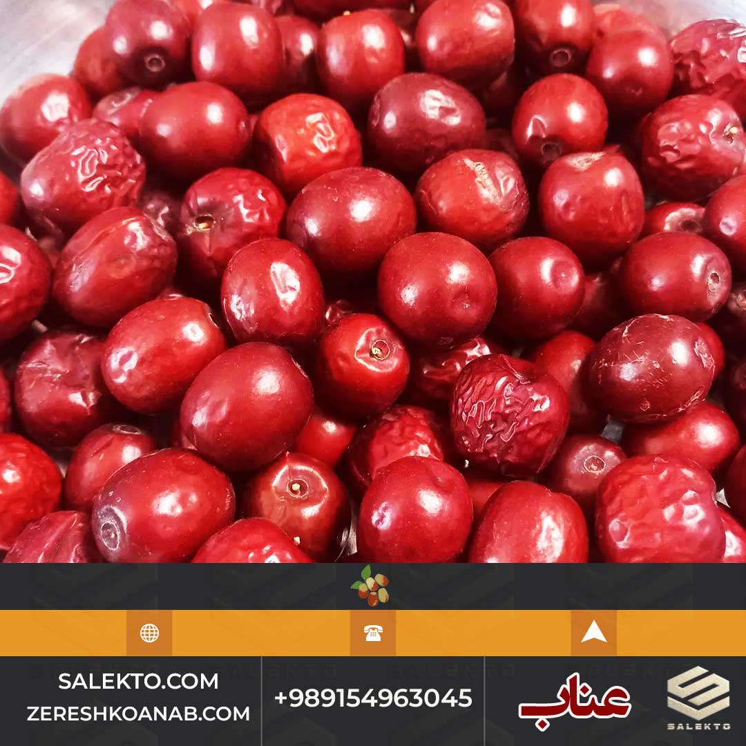 تصویر 3 از خرید عناب لوکس قائنات + فروش ویژه