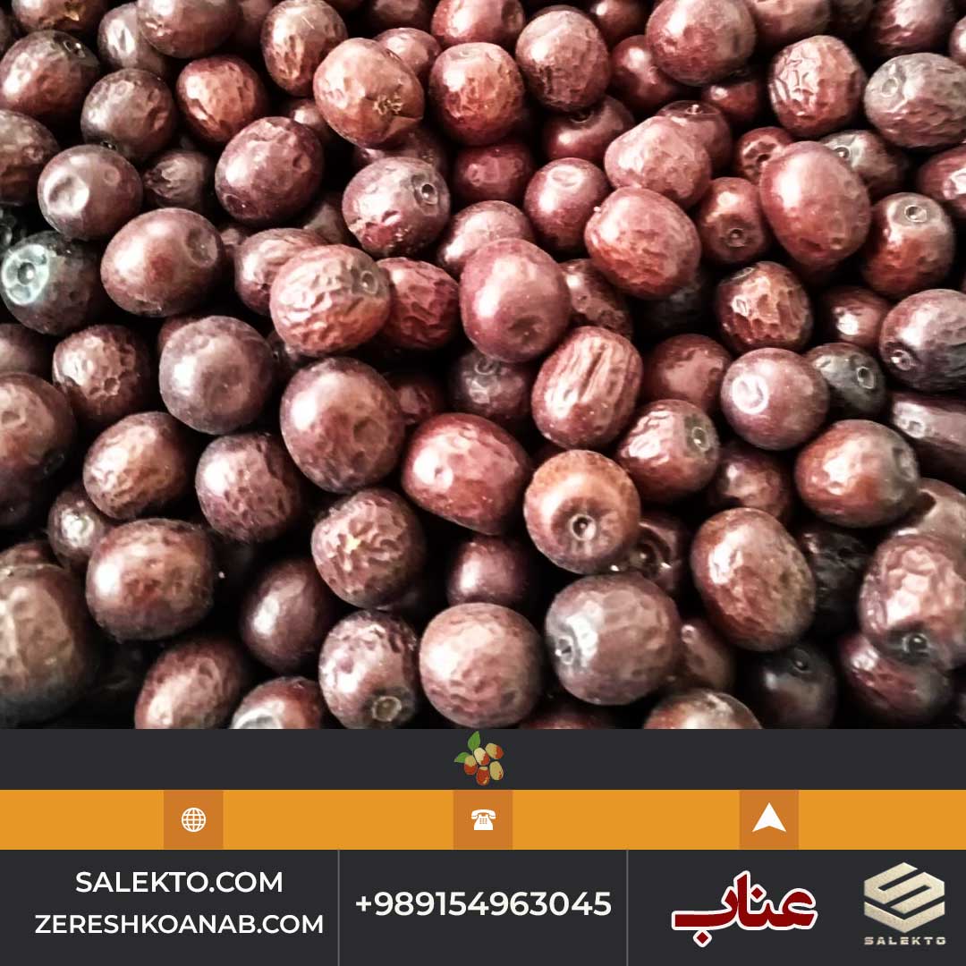 تصویر 5 از خرید عناب لوکس قائنات + فروش ویژه