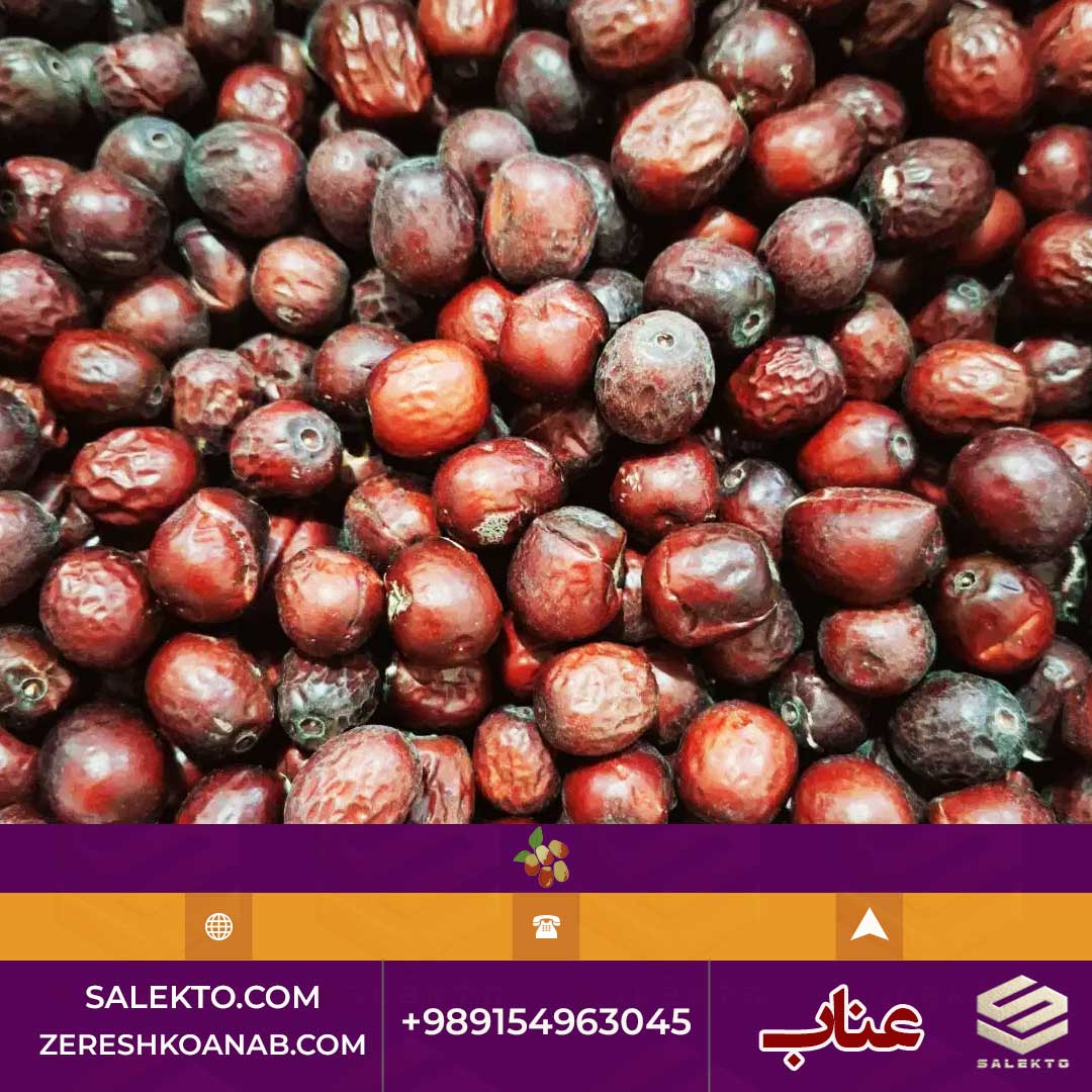 خرید عناب امسالی تازه بیرجند با فیبر بالا و طعم ملایم