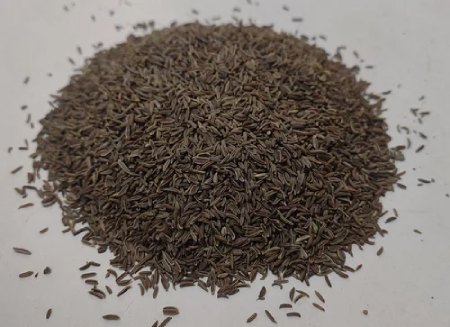 زیره سیاه ایرانی + خرید