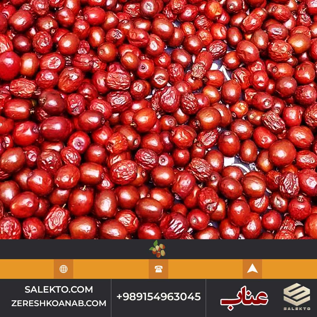 تصویر 4 از خرید عناب امسالی تازه بیرجند با فیبر بالا و طعم ملایم