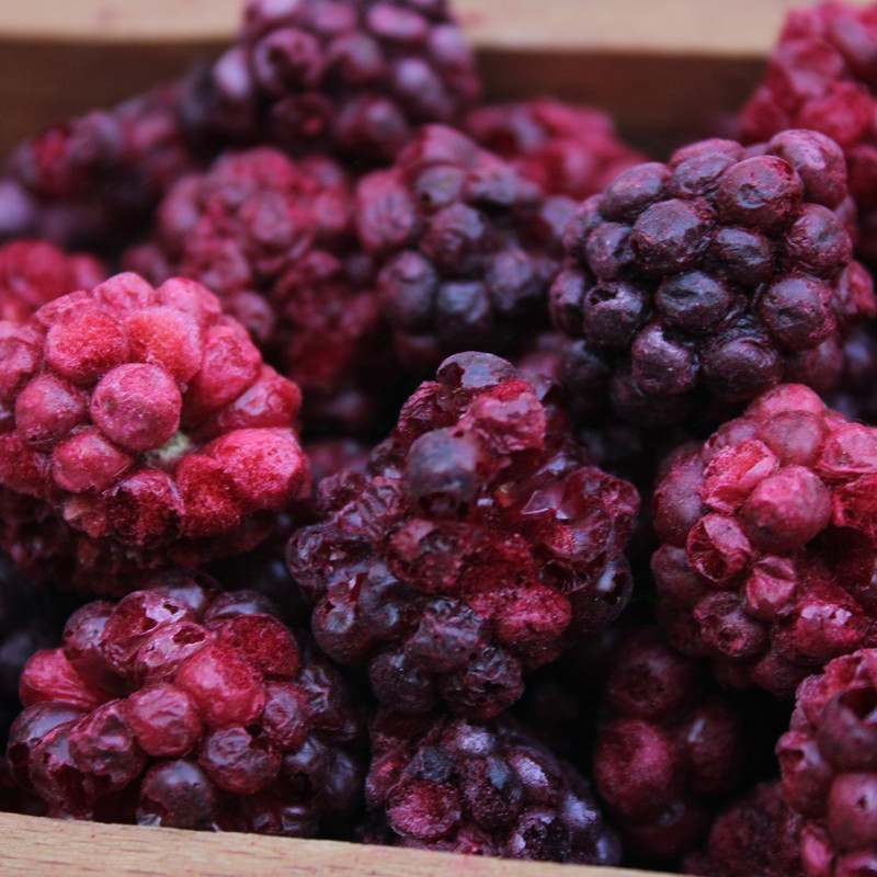 خرید و فروش شاتوت پفکی صادراتی با کیفیت