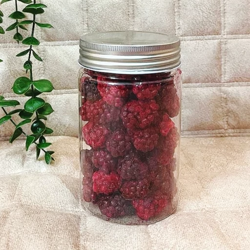 قیمت عمده شاتوت خشک پفکی طبیعی