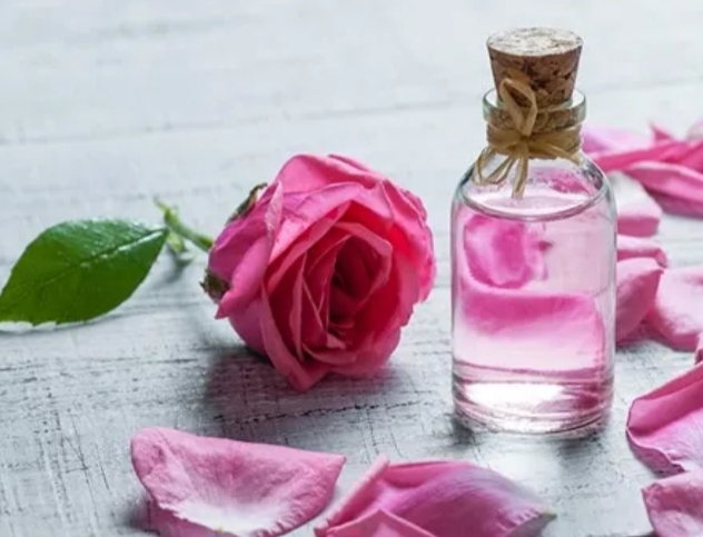 گلاب دو آتشه زرین + با صرفه و ارزان