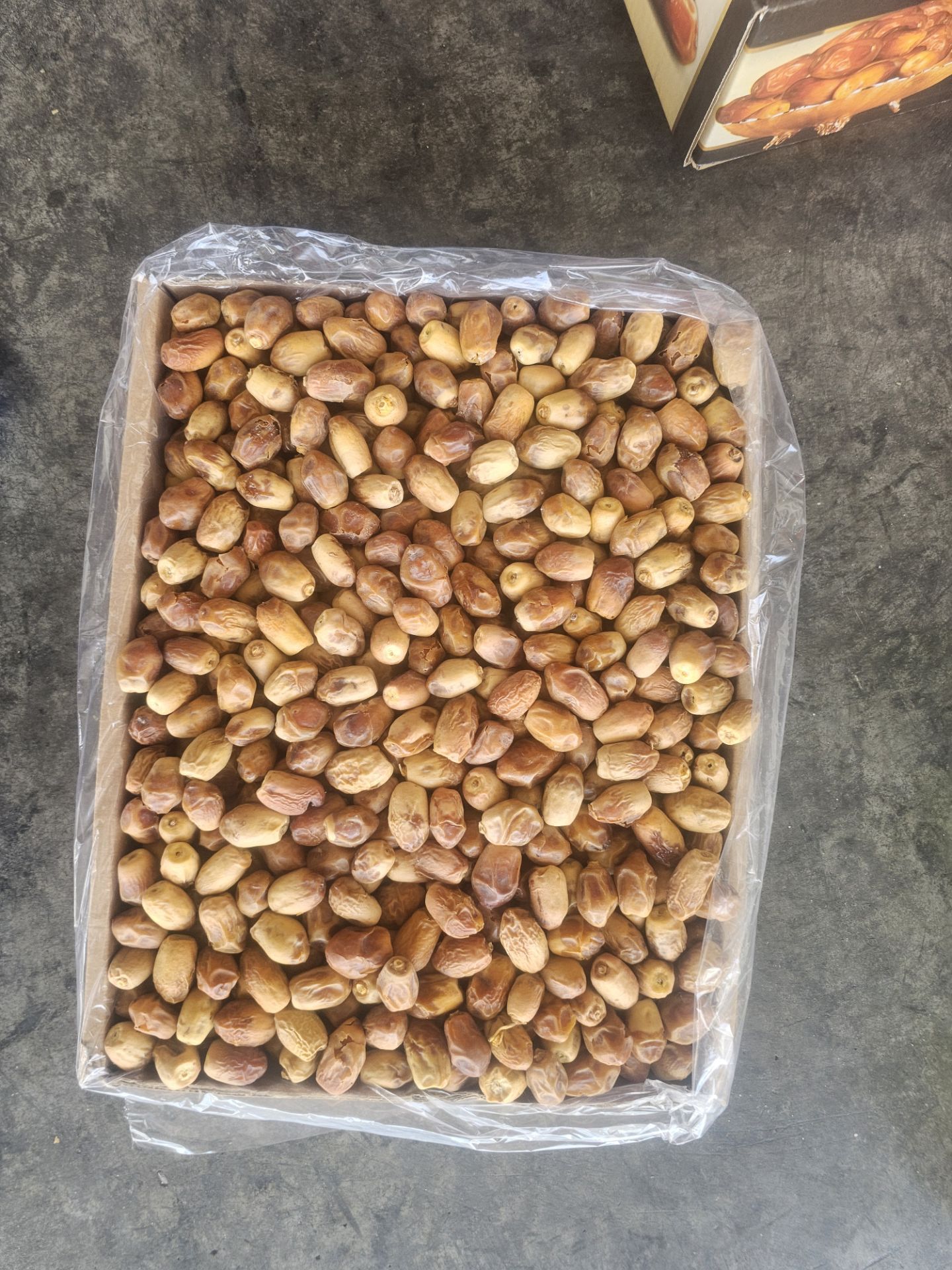 قیمت زاهدی درجه ۲ + فروش استثنایی
