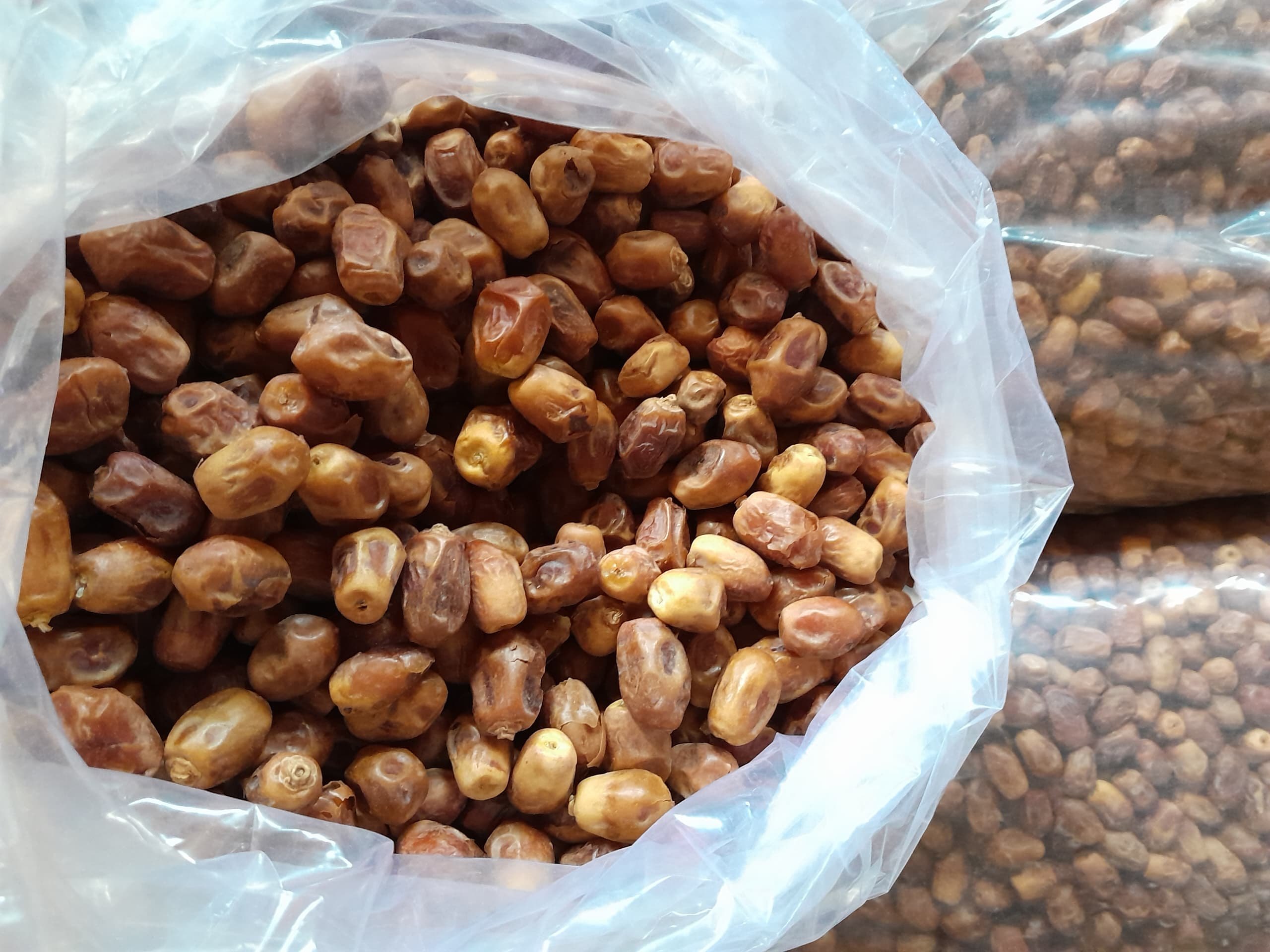 ارسال عمده خرما زاهدی سیستان و بلوچستان + قیمت رقابتی