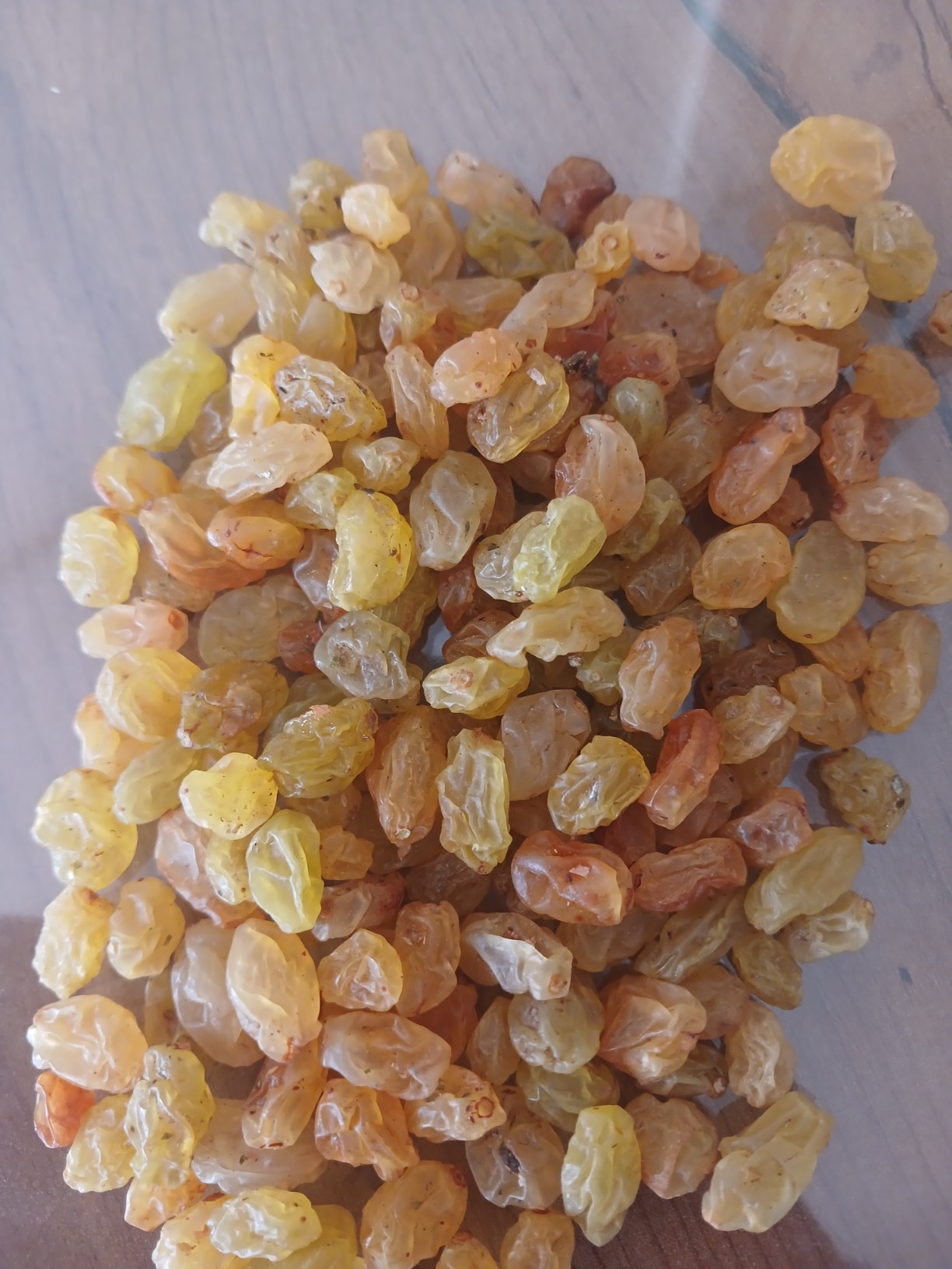 عرضه مستقیم کشمش گلدن