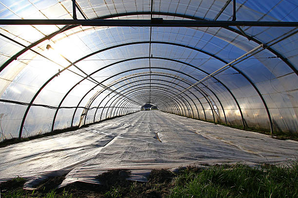 قیمت پلاستیک کف گلخانه با کیفیت ارزان + خرید عمده