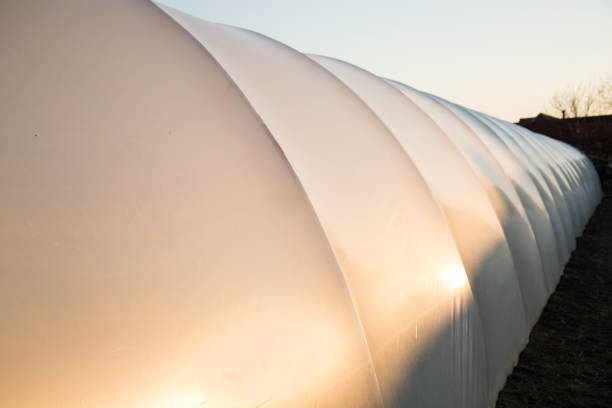 قیمت خرید پلاستیک یو وی دار گلخانه با فروش عمده