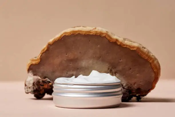 خرید کرم پوستی ضد قارچ و قیمت فروش استثنایی