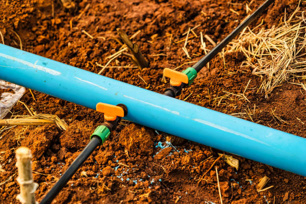 خرید لوله فرعی ۱۶ میلیمتر آبیاری قطره‌ ای + قیمت فروش استثنایی