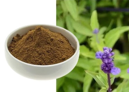 فروش پودر اسطوخودوس ایرانی فله