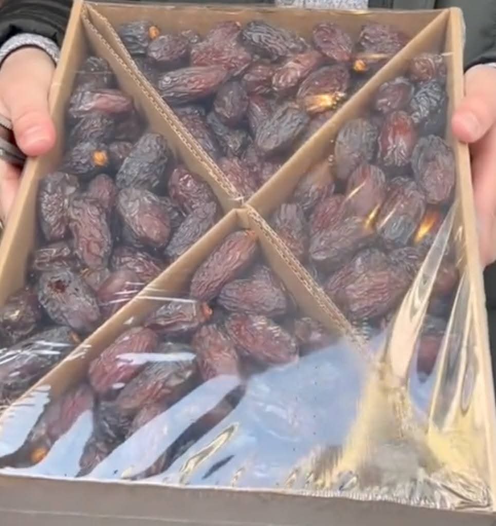 خرید فروش انواع خرما مجول بهترین کیفیت صادرات به کشور دبی