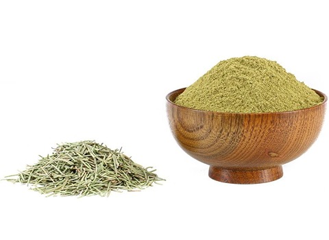 تصویر 1 از فروش پودر رزماری فله