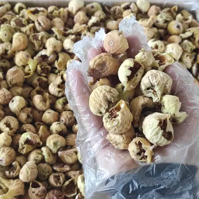 تصویر 3 از خرید و فروش انجیر گنجشک خورده درجه 2 با شرایط فوق العاده