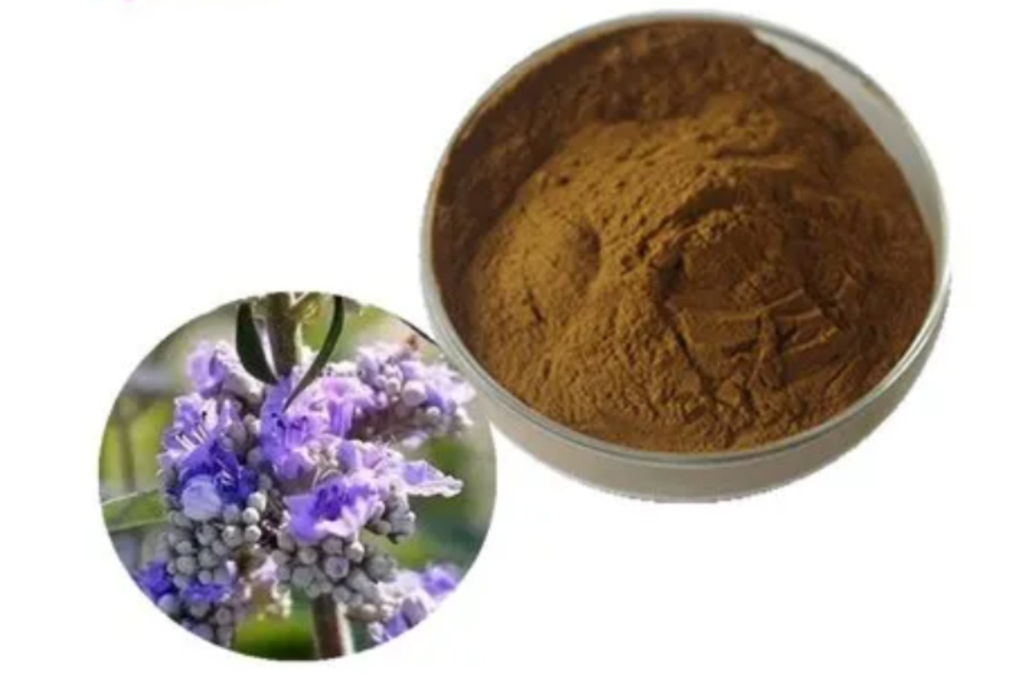 فروش پودر پنیرک فله