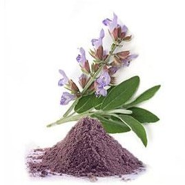 مریم گلی خشک