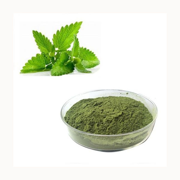 تصویر 1 از فروش پودر نعناع فلفلی فله