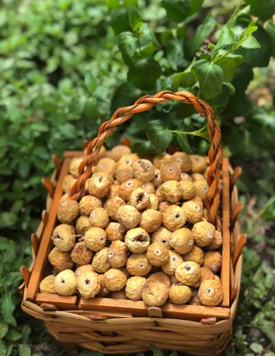 تصویر 1 از قیمت انجیر سایز ریز رنگ معمولی + پخش تولیدی عمده کارخانه