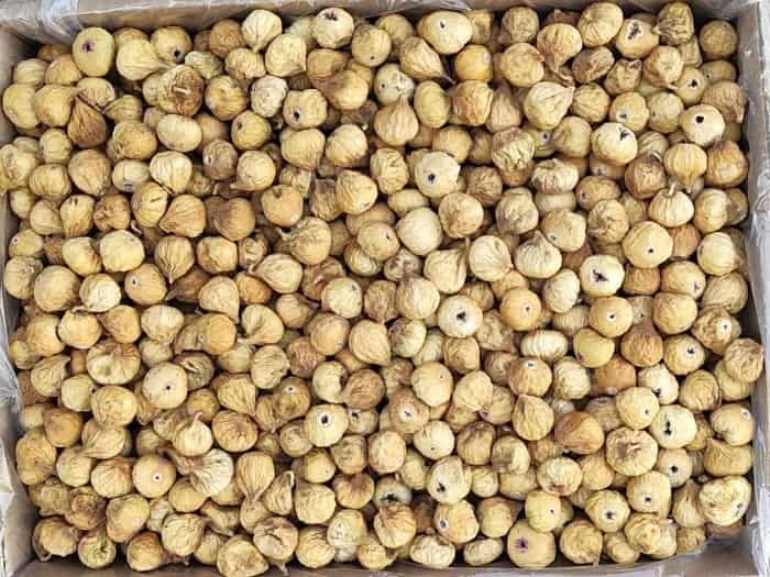 قیمت انجیر سایز ریز رنگ معمولی + پخش تولیدی عمده کارخانه