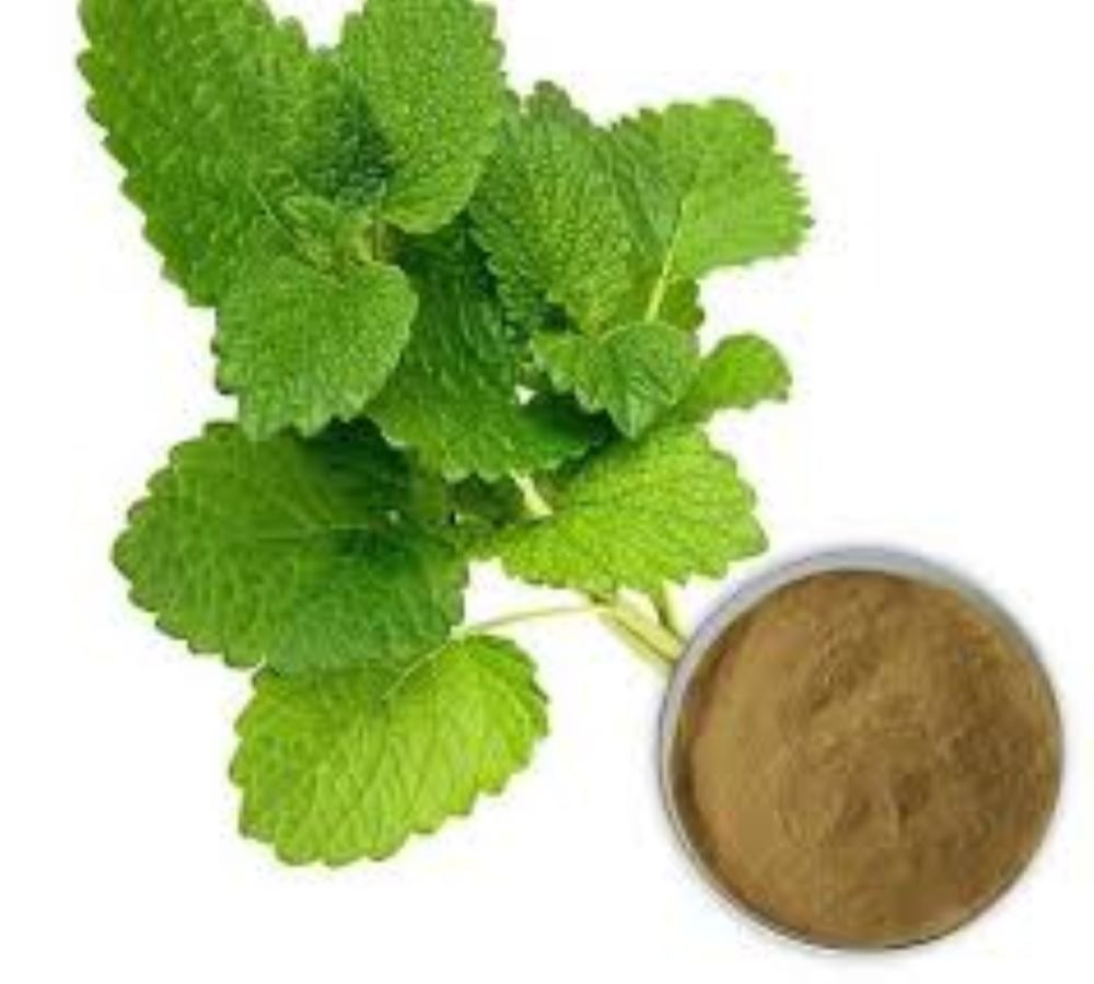 تصویر 1 از فروش پودر بادرنجبویه فله