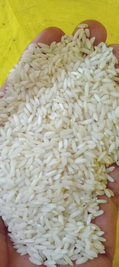 تصویر 4 از فروش برنج عنبر بو امسال انتخاب خوش سلیقه‌ ها