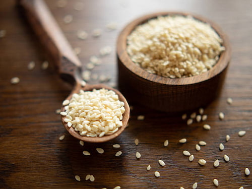 خرید و قیمت کنجد عمده + فروش عمده