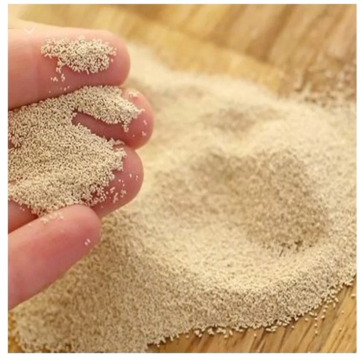 خرید و قیمت خمیر مایه خشک رضوی + قیمت عمده