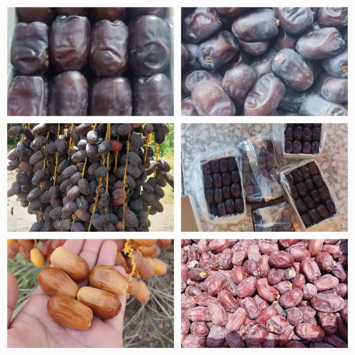 خرما مضافتی بم بهترین کیفیت صادرات در کشور هند